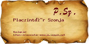 Placzintár Szonja névjegykártya